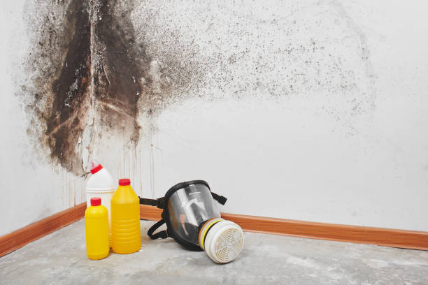 Best Crawl Space Mold Removal  in Faxon, PA